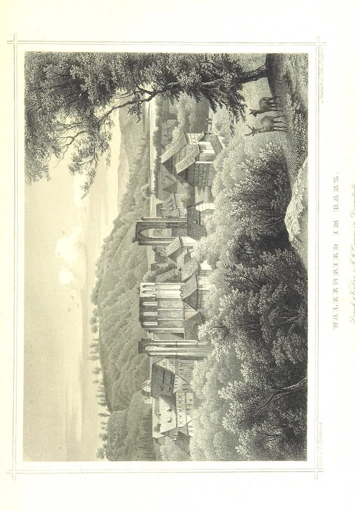 An illustration from Das Königreich Hannover und das Herzogthum Braunschweig dargestellt in malerischen Original-Ansichten ihrer interessantesten Gegenden ... von verschiedenen Künstlern. Historisch und topographisch beschrieben von O. v. H, 1857, leaf 349