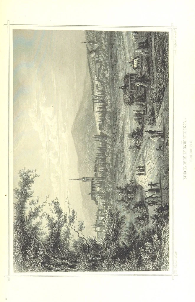 An illustration from Das Königreich Hannover und das Herzogthum Braunschweig dargestellt in malerischen Original-Ansichten ihrer interessantesten Gegenden ... von verschiedenen Künstlern. Historisch und topographisch beschrieben von O. v. H, 1857, leaf 353