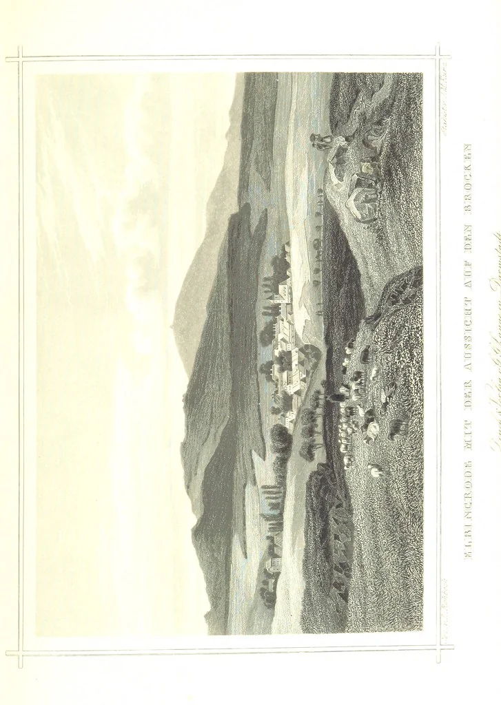An illustration from Das Königreich Hannover und das Herzogthum Braunschweig dargestellt in malerischen Original-Ansichten ihrer interessantesten Gegenden ... von verschiedenen Künstlern. Historisch und topographisch beschrieben von O. v. H, 1857, leaf 87