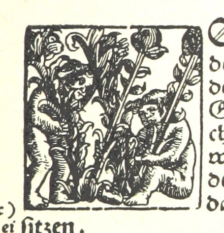 An illustration from Kulturgeschichte ... Vierte Auflage. Neu bearbeitet von M. von Brandt [and others], etc, 1896, leaf 199