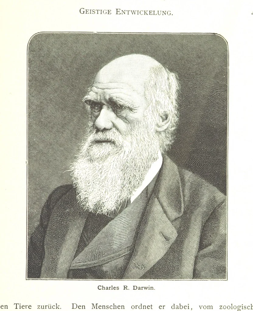 An illustration from Kulturgeschichte ... Vierte Auflage. Neu bearbeitet von M. von Brandt [and others], etc, 1896, leaf 501
