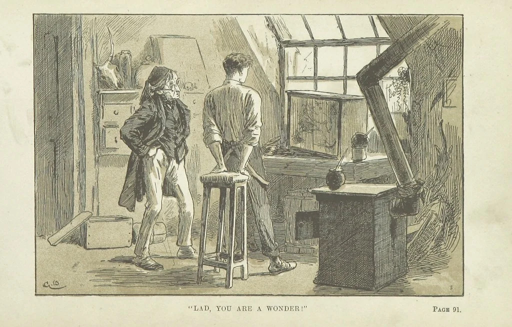 An illustration from By Sheer Pluck: a tale of the Ashanti War, etc, 1884, leaf 102