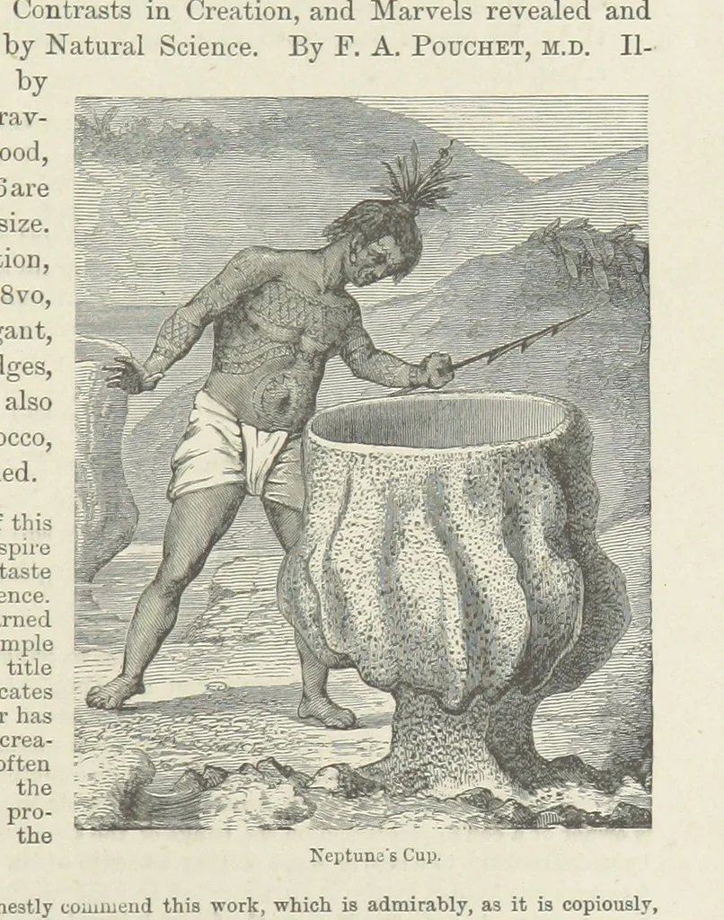 An illustration from By Sheer Pluck: a tale of the Ashanti War, etc, 1884, leaf 375