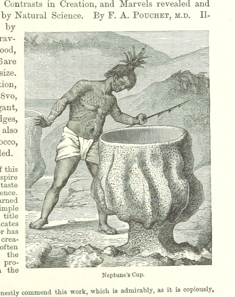 An illustration from With Clive in India: or the Beginnings of an Empire, etc, 1884, leaf 417