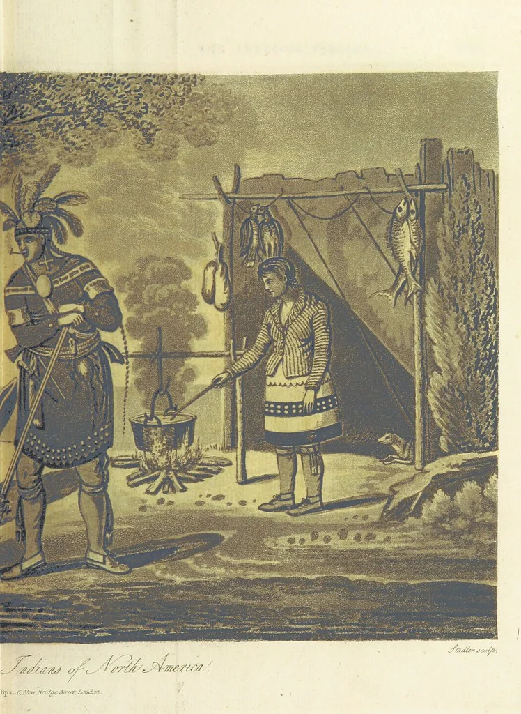 An illustration from Travels through the Canadas, ... to which is subjoined a comparative view of the manners and customs of several of the Indian nations of North and South America, etc, 1807, leaf 375