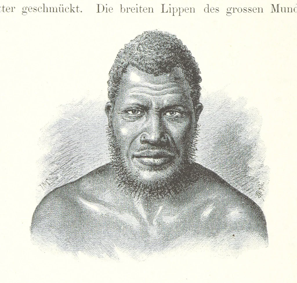 An illustration from Südsee-Erinnerungen (1875-1880). Mit einem einleitenden Vorwort von Dr. O. Finsch, 1883, leaf 108