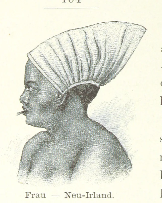 An illustration from Südsee-Erinnerungen (1875-1880). Mit einem einleitenden Vorwort von Dr. O. Finsch, 1883, leaf 114