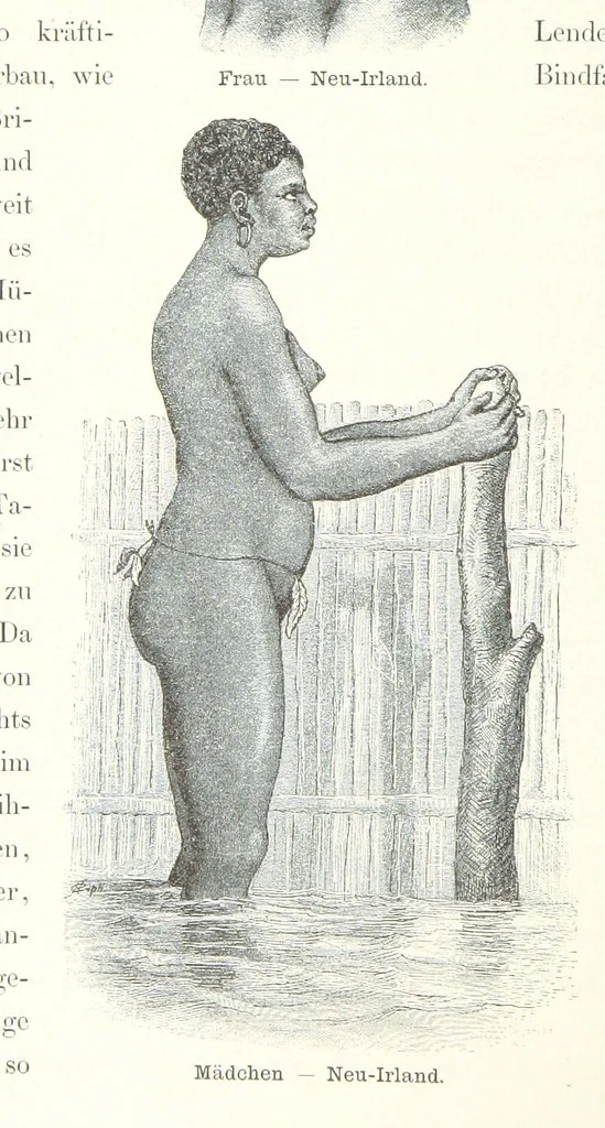 An illustration from Südsee-Erinnerungen (1875-1880). Mit einem einleitenden Vorwort von Dr. O. Finsch, 1883, leaf 114