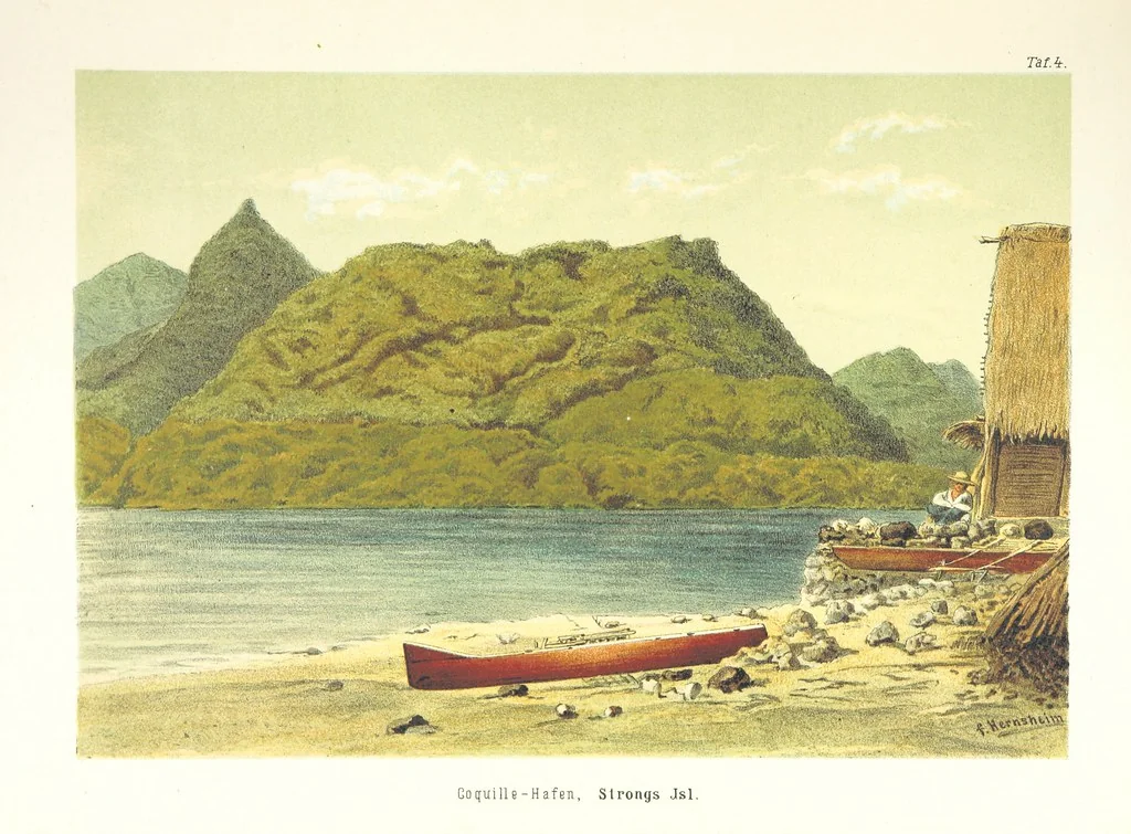An illustration from Südsee-Erinnerungen (1875-1880). Mit einem einleitenden Vorwort von Dr. O. Finsch, 1883, leaf 127