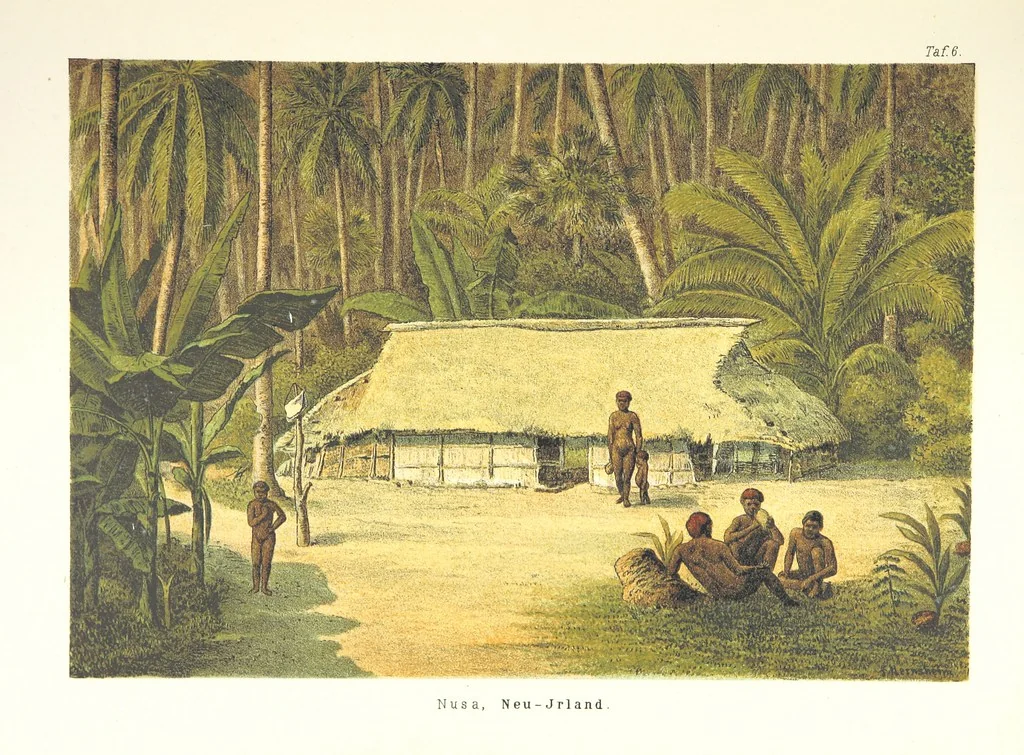 An illustration from Südsee-Erinnerungen (1875-1880). Mit einem einleitenden Vorwort von Dr. O. Finsch, 1883, leaf 131