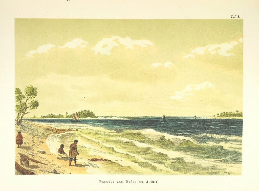 An illustration from Südsee-Erinnerungen (1875-1880). Mit einem einleitenden Vorwort von Dr. O. Finsch, 1883, leaf 135