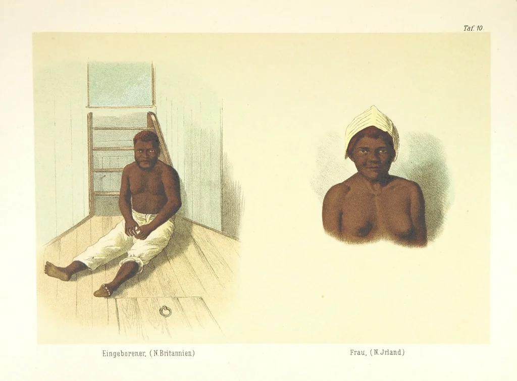 An illustration from Südsee-Erinnerungen (1875-1880). Mit einem einleitenden Vorwort von Dr. O. Finsch, 1883, leaf 139