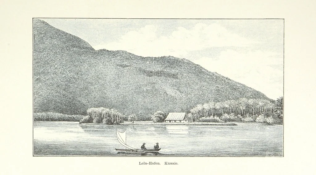 An illustration from Südsee-Erinnerungen (1875-1880). Mit einem einleitenden Vorwort von Dr. O. Finsch, 1883, leaf 50