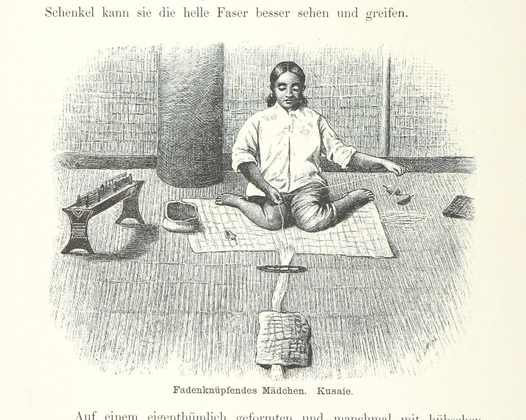 An illustration from Südsee-Erinnerungen (1875-1880). Mit einem einleitenden Vorwort von Dr. O. Finsch, 1883, leaf 54