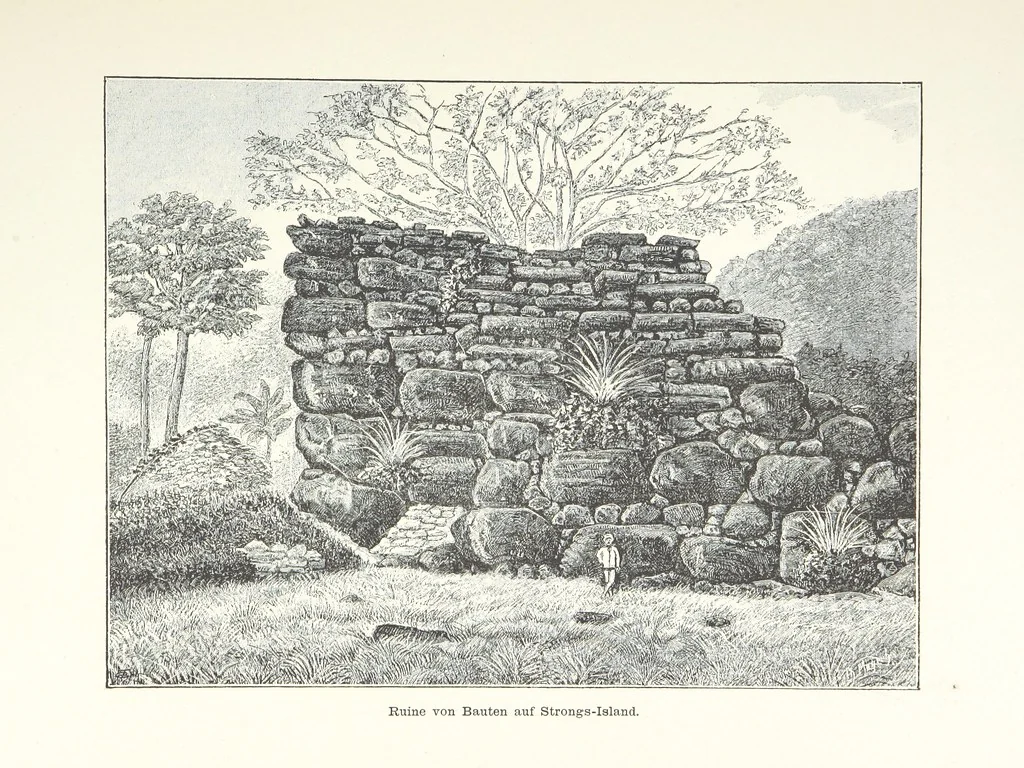 An illustration from Südsee-Erinnerungen (1875-1880). Mit einem einleitenden Vorwort von Dr. O. Finsch, 1883, leaf 56