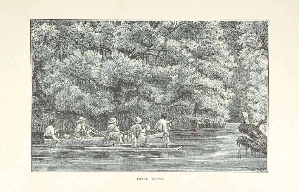 An illustration from Südsee-Erinnerungen (1875-1880). Mit einem einleitenden Vorwort von Dr. O. Finsch, 1883, leaf 62