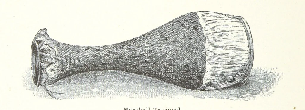 An illustration from Südsee-Erinnerungen (1875-1880). Mit einem einleitenden Vorwort von Dr. O. Finsch, 1883, leaf 96
