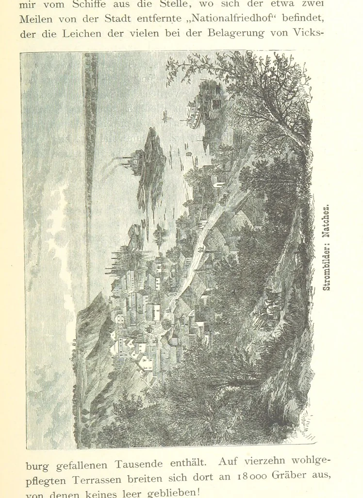 An illustration from Mississippi-Fahrten. Reisebilder aus dem amerikanischen Süden, 1879-1880, 1881, leaf 113