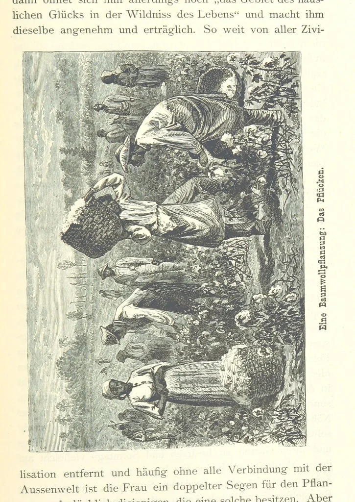 An illustration from Mississippi-Fahrten. Reisebilder aus dem amerikanischen Süden, 1879-1880, 1881, leaf 159