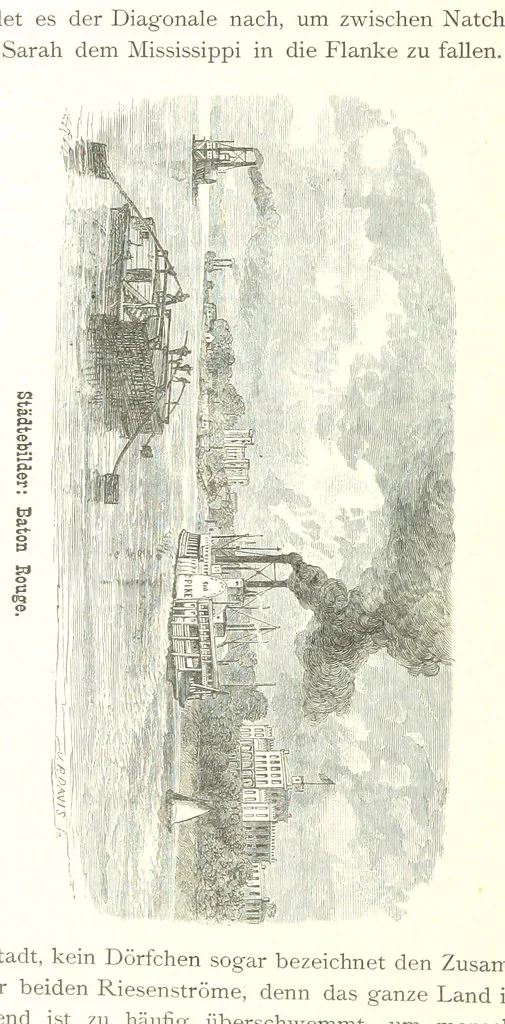 An illustration from Mississippi-Fahrten. Reisebilder aus dem amerikanischen Süden, 1879-1880, 1881, leaf 186