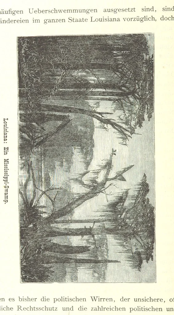 An illustration from Mississippi-Fahrten. Reisebilder aus dem amerikanischen Süden, 1879-1880, 1881, leaf 188