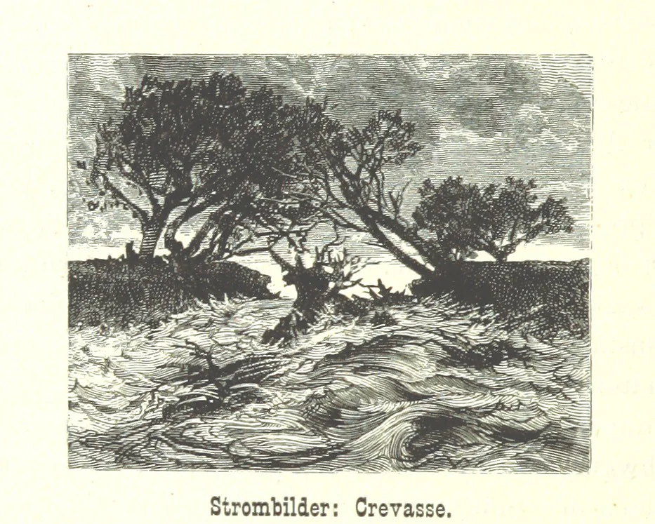 An illustration from Mississippi-Fahrten. Reisebilder aus dem amerikanischen Süden, 1879-1880, 1881, leaf 196