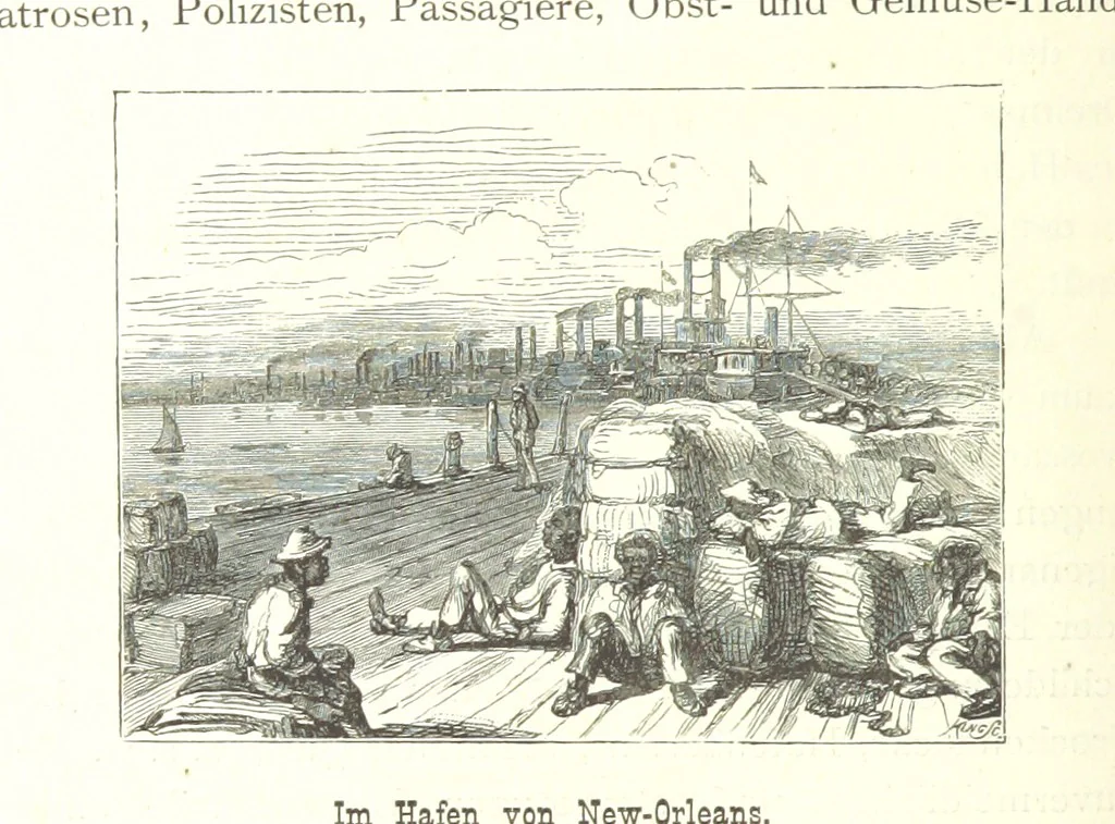 An illustration from Mississippi-Fahrten. Reisebilder aus dem amerikanischen Süden, 1879-1880, 1881, leaf 208