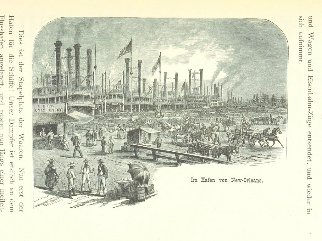 An illustration from Mississippi-Fahrten. Reisebilder aus dem amerikanischen Süden, 1879-1880, 1881, leaf 209