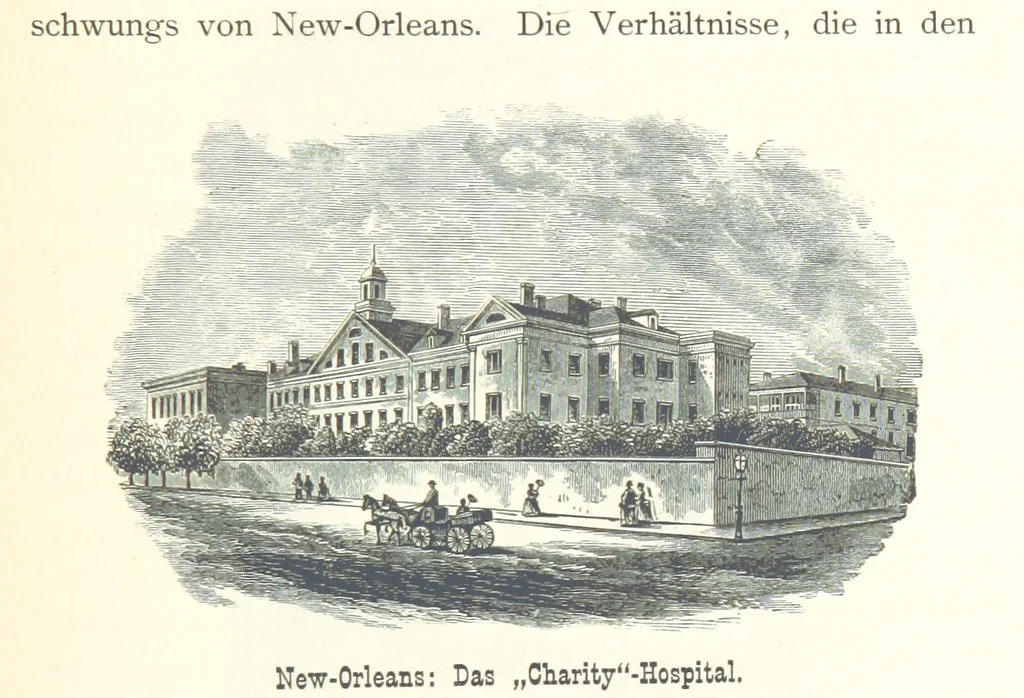 An illustration from Mississippi-Fahrten. Reisebilder aus dem amerikanischen Süden, 1879-1880, 1881, leaf 229