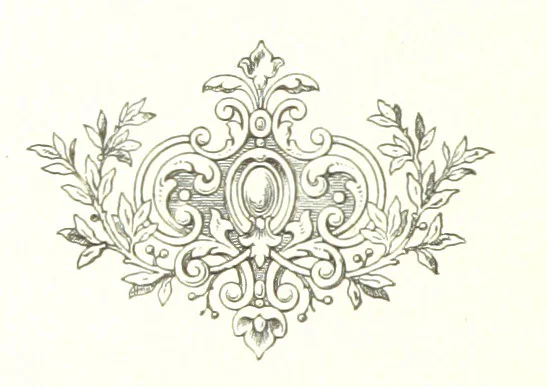 An illustration from Mississippi-Fahrten. Reisebilder aus dem amerikanischen Süden, 1879-1880, 1881, leaf 238