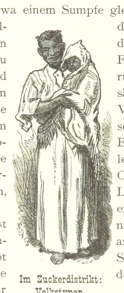 An illustration from Mississippi-Fahrten. Reisebilder aus dem amerikanischen Süden, 1879-1880, 1881, leaf 272