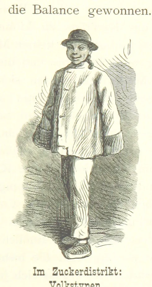 An illustration from Mississippi-Fahrten. Reisebilder aus dem amerikanischen Süden, 1879-1880, 1881, leaf 273