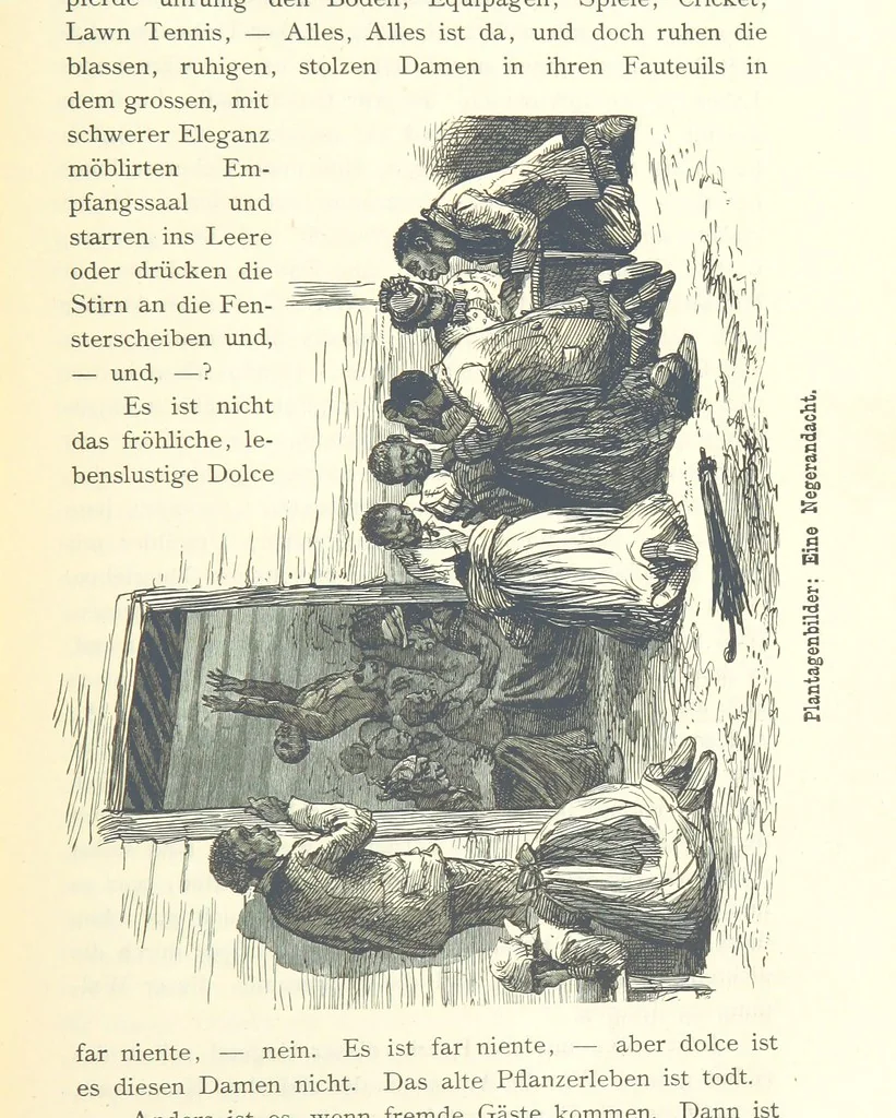 An illustration from Mississippi-Fahrten. Reisebilder aus dem amerikanischen Süden, 1879-1880, 1881, leaf 285