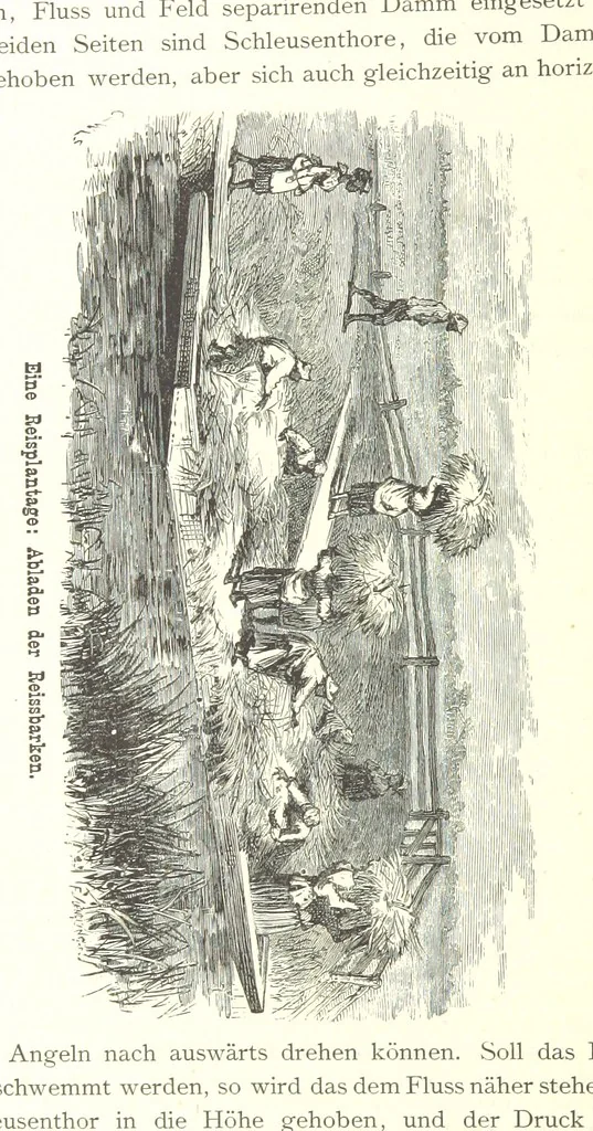 An illustration from Mississippi-Fahrten. Reisebilder aus dem amerikanischen Süden, 1879-1880, 1881, leaf 304