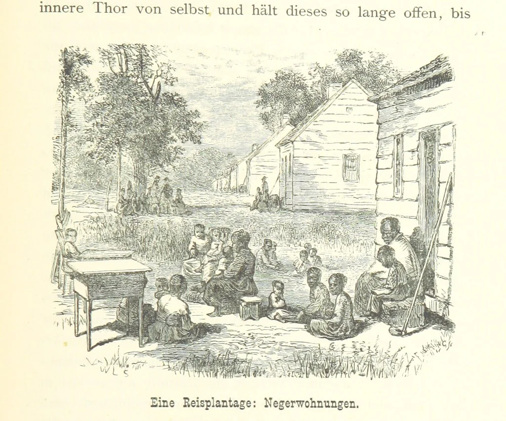An illustration from Mississippi-Fahrten. Reisebilder aus dem amerikanischen Süden, 1879-1880, 1881, leaf 305