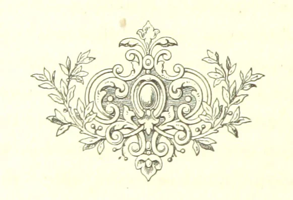 An illustration from Mississippi-Fahrten. Reisebilder aus dem amerikanischen Süden, 1879-1880, 1881, leaf 348