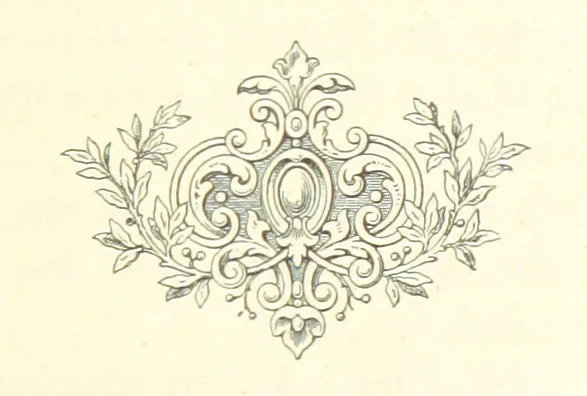 An illustration from Mississippi-Fahrten. Reisebilder aus dem amerikanischen Süden, 1879-1880, 1881, leaf 41