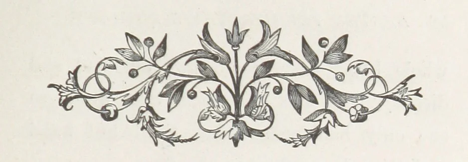 An illustration from Aunt Hester and why we loved her: a story of Rosebrook, 1880, leaf 61