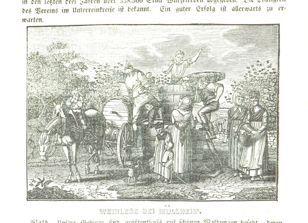 An illustration from Baden geographisch und malerisch beschrieben. Mit ... Ansichten, 1838, leaf 130