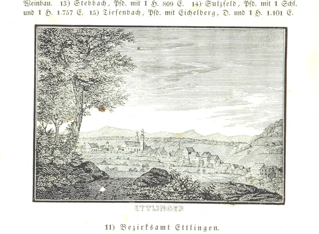 An illustration from Baden geographisch und malerisch beschrieben. Mit ... Ansichten, 1838, leaf 206