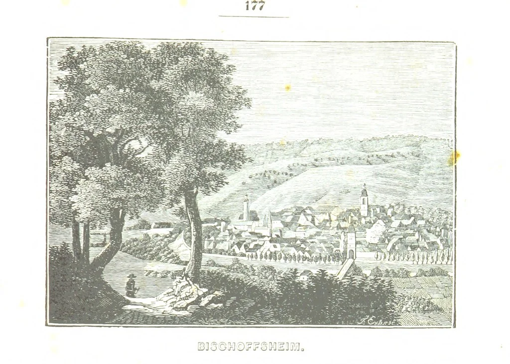 An illustration from Baden geographisch und malerisch beschrieben. Mit ... Ansichten, 1838, leaf 221