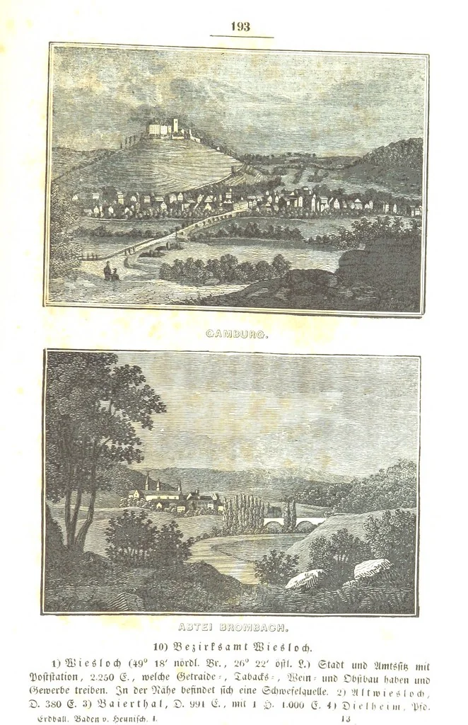 An illustration from Baden geographisch und malerisch beschrieben. Mit ... Ansichten, 1838, leaf 237