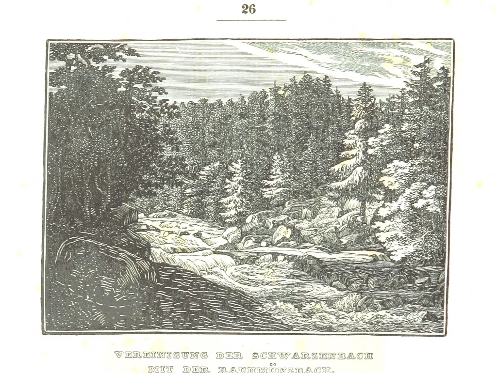 An illustration from Baden geographisch und malerisch beschrieben. Mit ... Ansichten, 1838, leaf 70