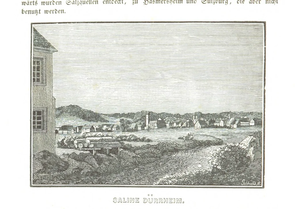 An illustration from Baden geographisch und malerisch beschrieben. Mit ... Ansichten, 1838, leaf 98