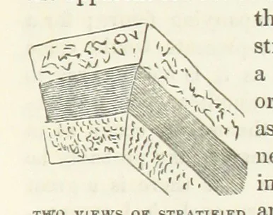 An illustration from The Earth? its physical condition and most remarkable phenomena, 1855, leaf 231
