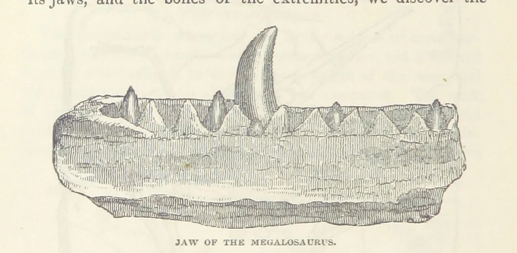 An illustration from The Earth? its physical condition and most remarkable phenomena, 1855, leaf 260