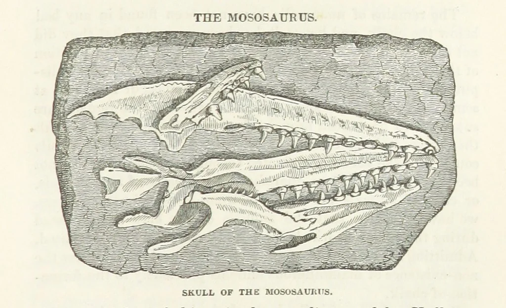 An illustration from The Earth? its physical condition and most remarkable phenomena, 1855, leaf 261