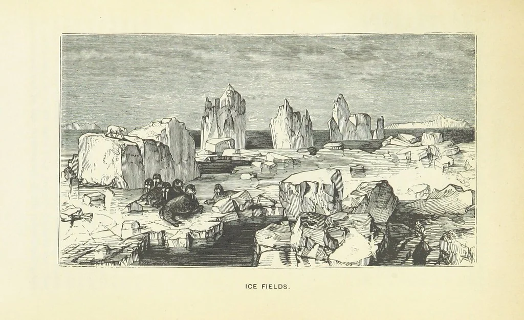 An illustration from The Earth? its physical condition and most remarkable phenomena, 1855, leaf 367