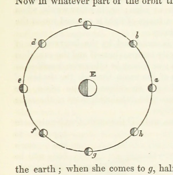 An illustration from The Earth? its physical condition and most remarkable phenomena, 1855, leaf 51