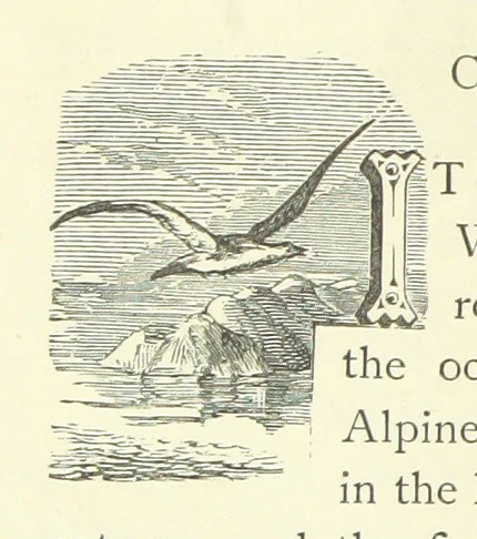 An illustration from Rambles and scrambles in the Tyrol. By E. R. H. [i.e. E. R. Hill.] [With two chapters contributed by Henry Hill, 1885, leaf 48